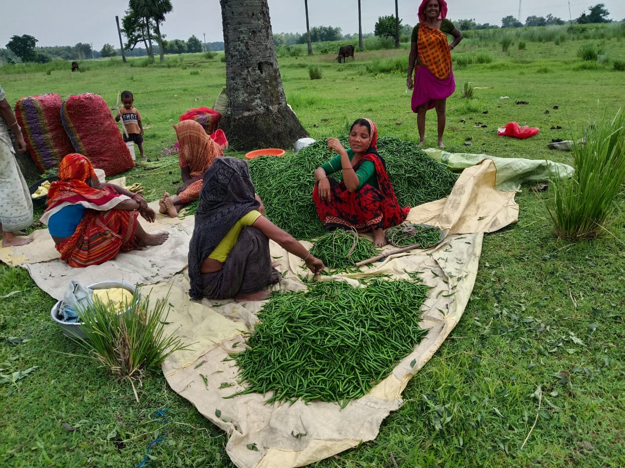 Our donation is hope for poor childrens in africa